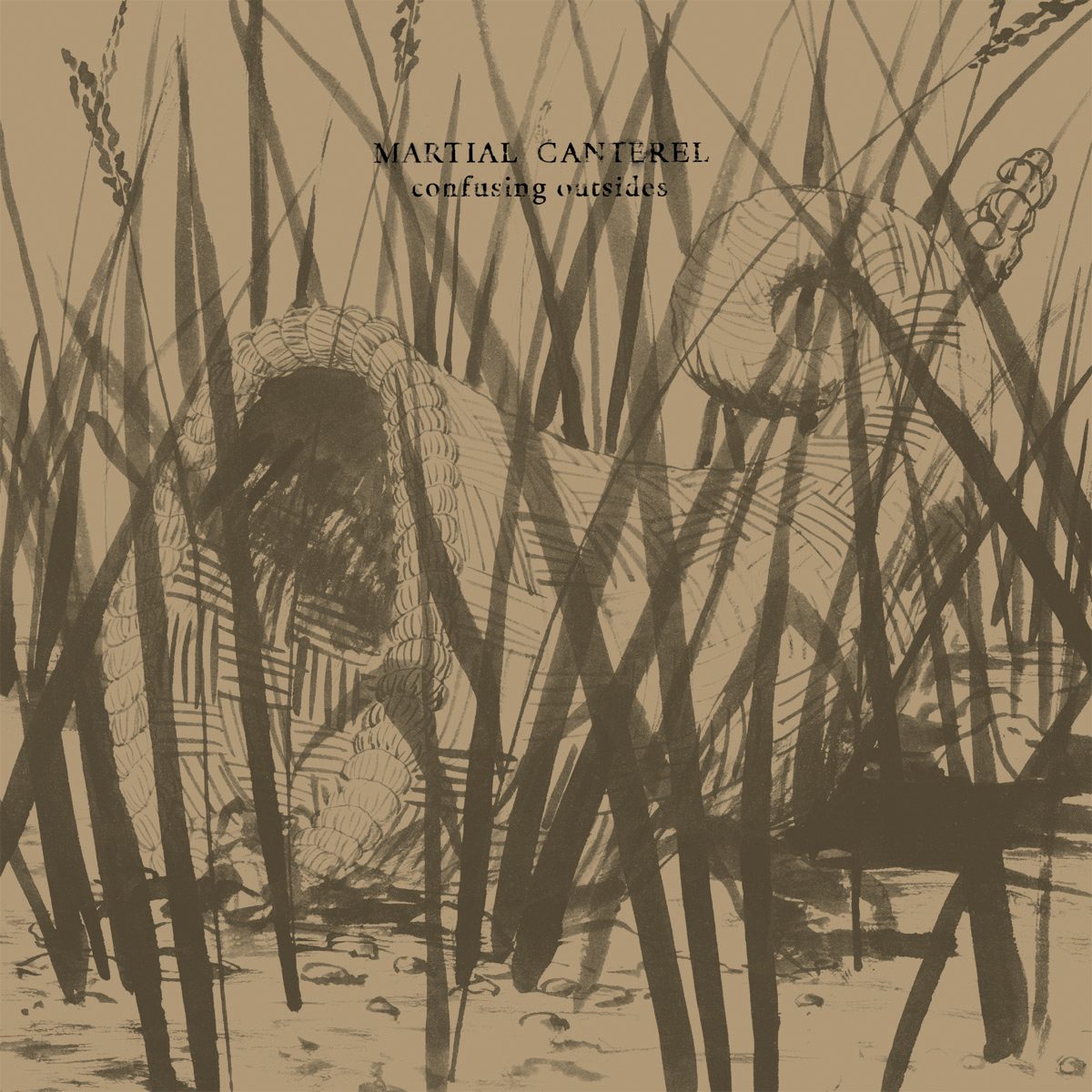 Cover of Confusing Outsides by Martial Canterel