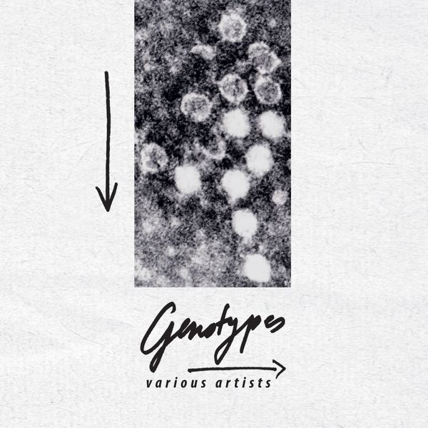 Cover of Genotypes by Various Artists