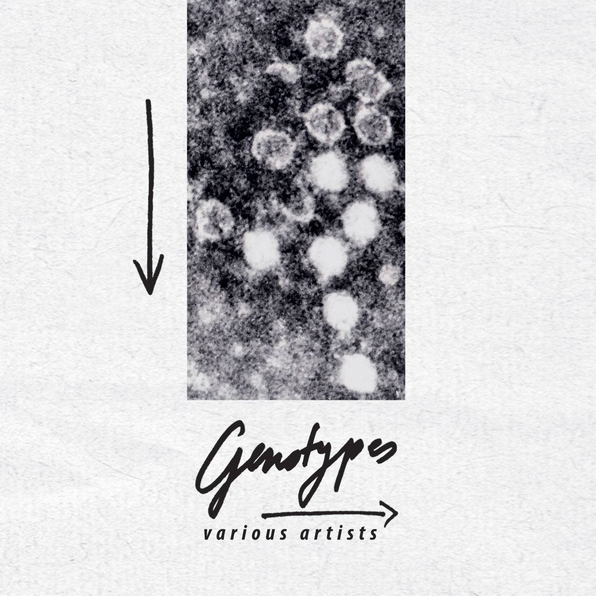 Cover of Genotypes by Various Artists