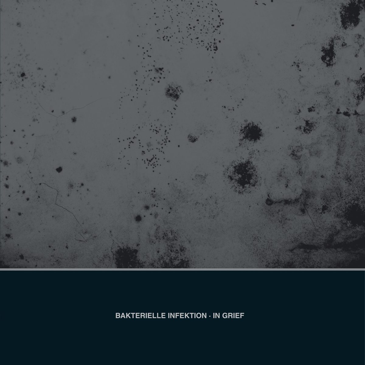 Cover of In Grief by Bakterielle Infektion